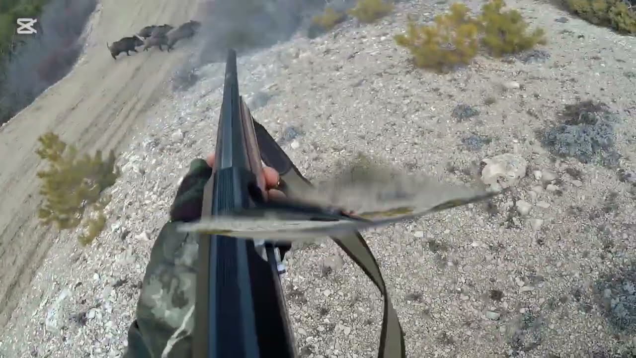 Domuz Avı.. Bol Heyecan..