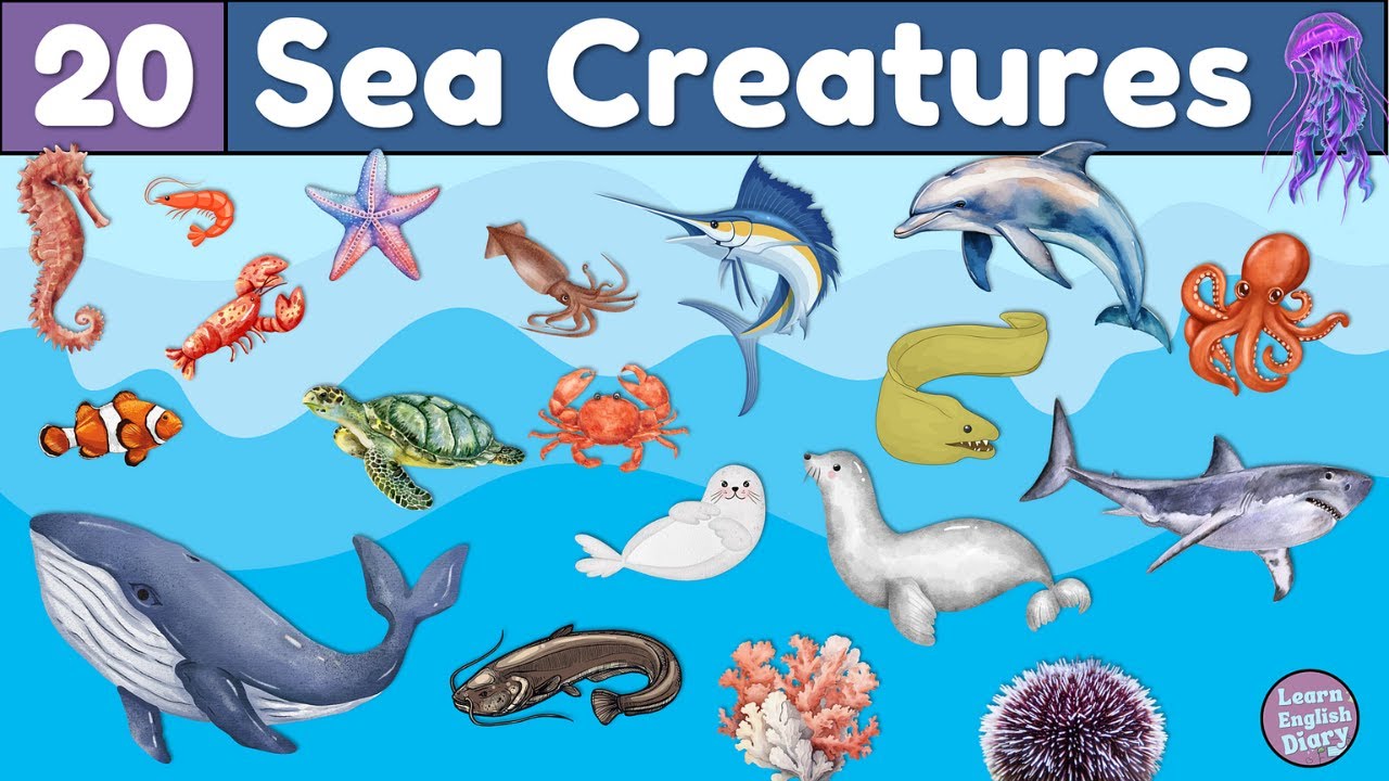 20 Sea Creatures Words for Kids 🌊 Ocean Animals Vocabulary Lesson with Pictures and Pronunciation 🐙