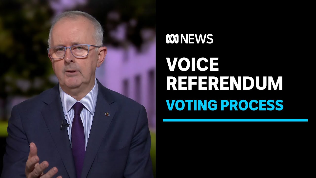 AEC Commissioner urges people to write 'Yes' or 'No' in the Voice referendum | ABC News