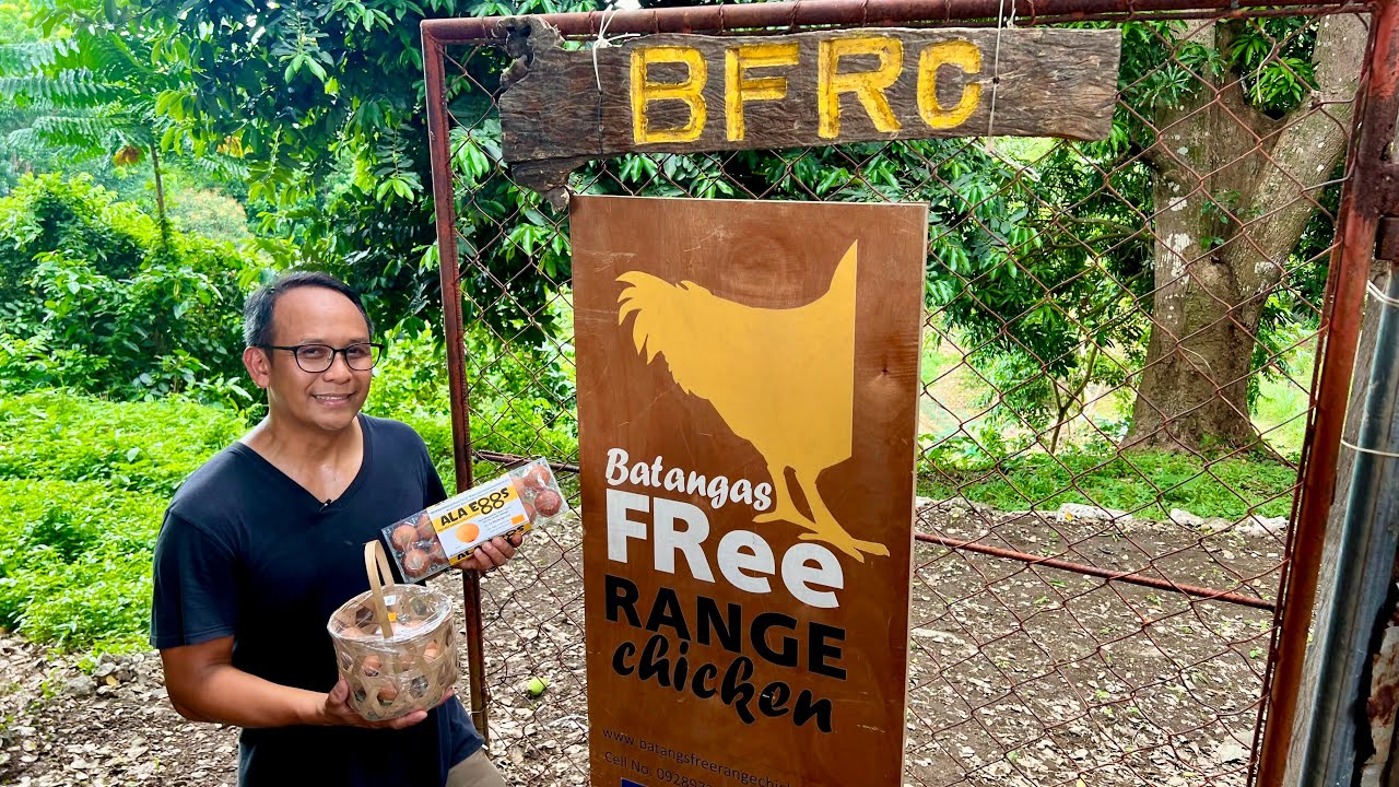 ORGANIC FREE RANGE CHICKEN and EGGS: Madaming Challenges, Malaki ang Opportunity!