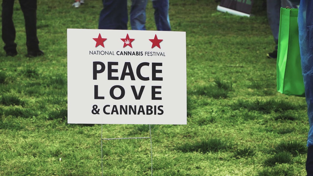 Empresarios | The Vibes (Live at at National Cannabis Festival 2017)