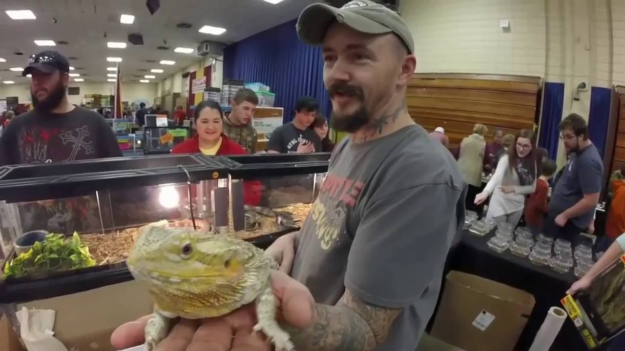 Repticon 2016  and new arrivals    Awesome Day !