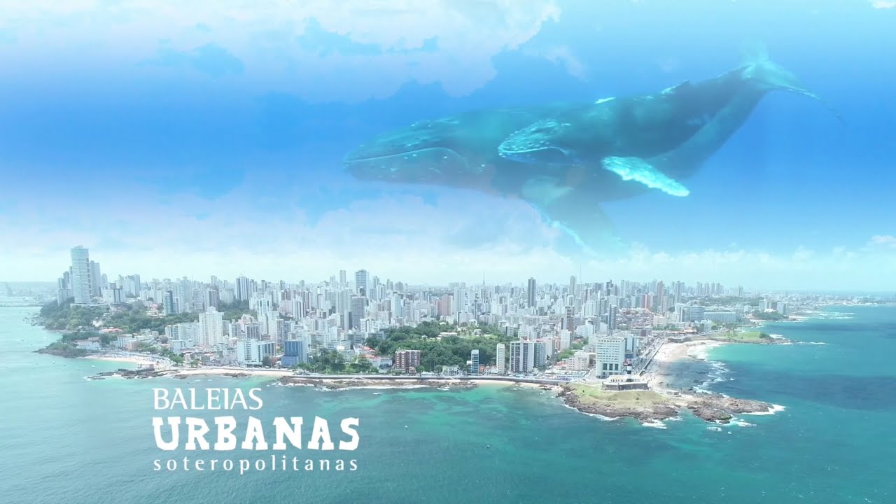 Baleias Urbanas - Soteropolitanas