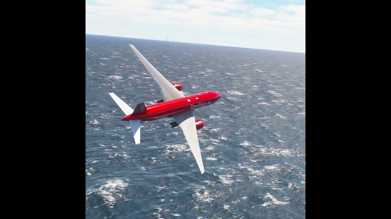 the pilot's actions endangered the plane's passengers EP302