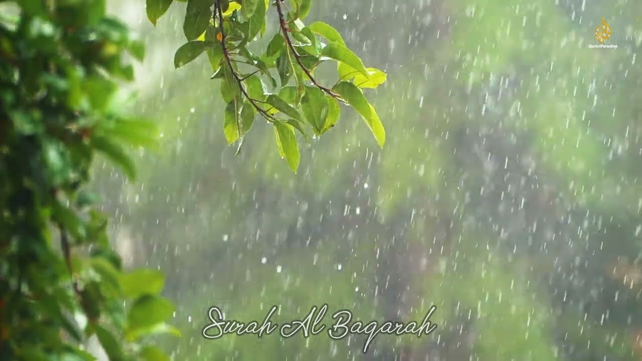 Quran with Heavy Rain & Thunder Sounds for Inner Peace