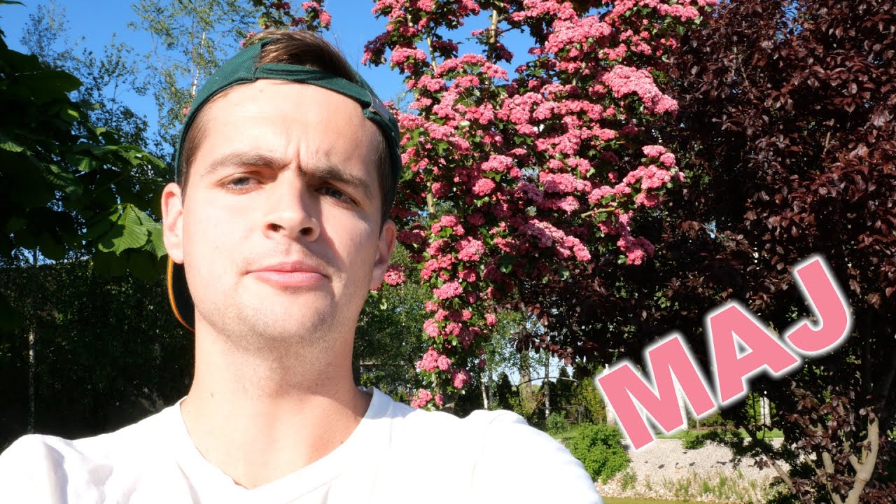 Maj w ogródku - głóg dwuszyjkowy, krzewuszka cudowna, konwalia majowa, kosaciec, piwonia (Ogród #4)