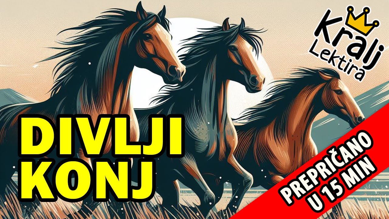 Divlji konj kratak sadržaj - Kralj Lektira