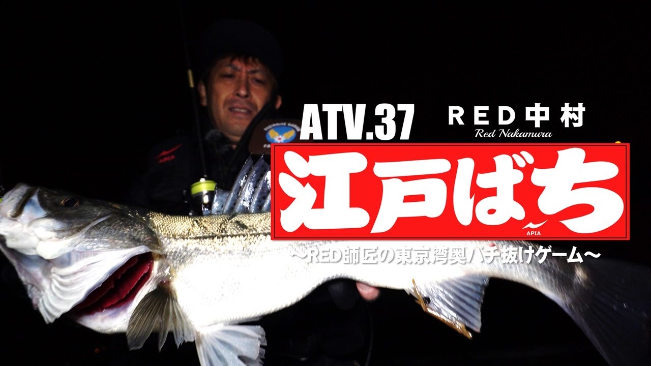 ATV.37【江戸ばち】RED中村 〜RED師匠の東京湾奥バチ抜けゲーム