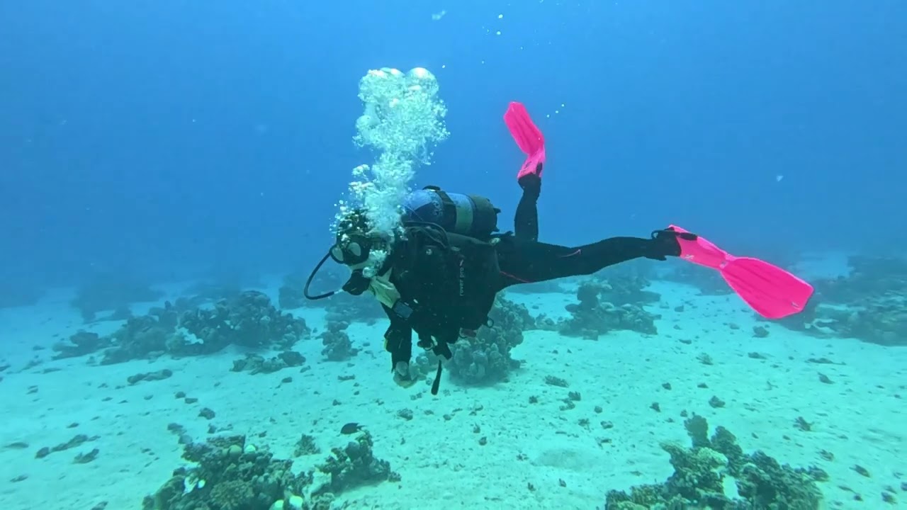Tauchen im Roten Meer von Robinson Soma Bay