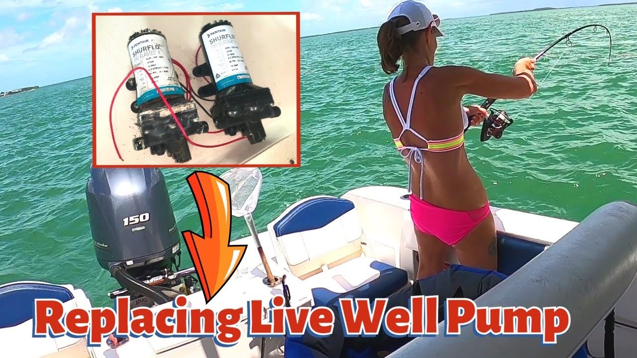 Replacing Live Well / Wash Down Pump on a ROBALO