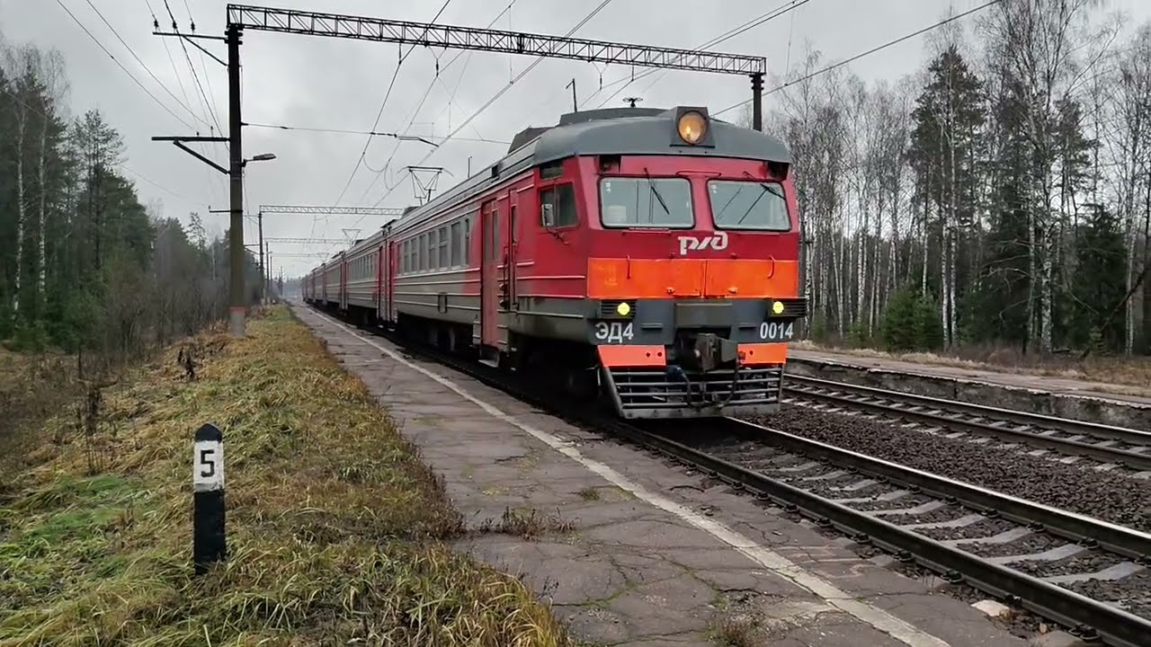 ЭД4 0014 Электричка БМО Александров - Орехово-Зуево. Остановочный пункт Илейкино. 22.11.2025 11-56