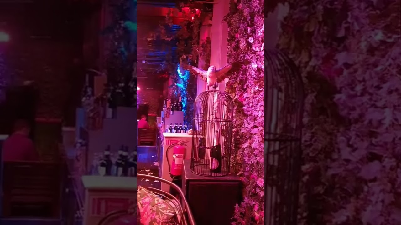 Nightli bes&ouml;ker Berns nattklubb i Stockholm