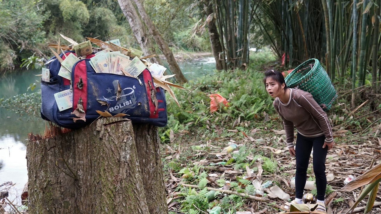 The Bag by the Tree Stump and the Moment That Changed Her Fate