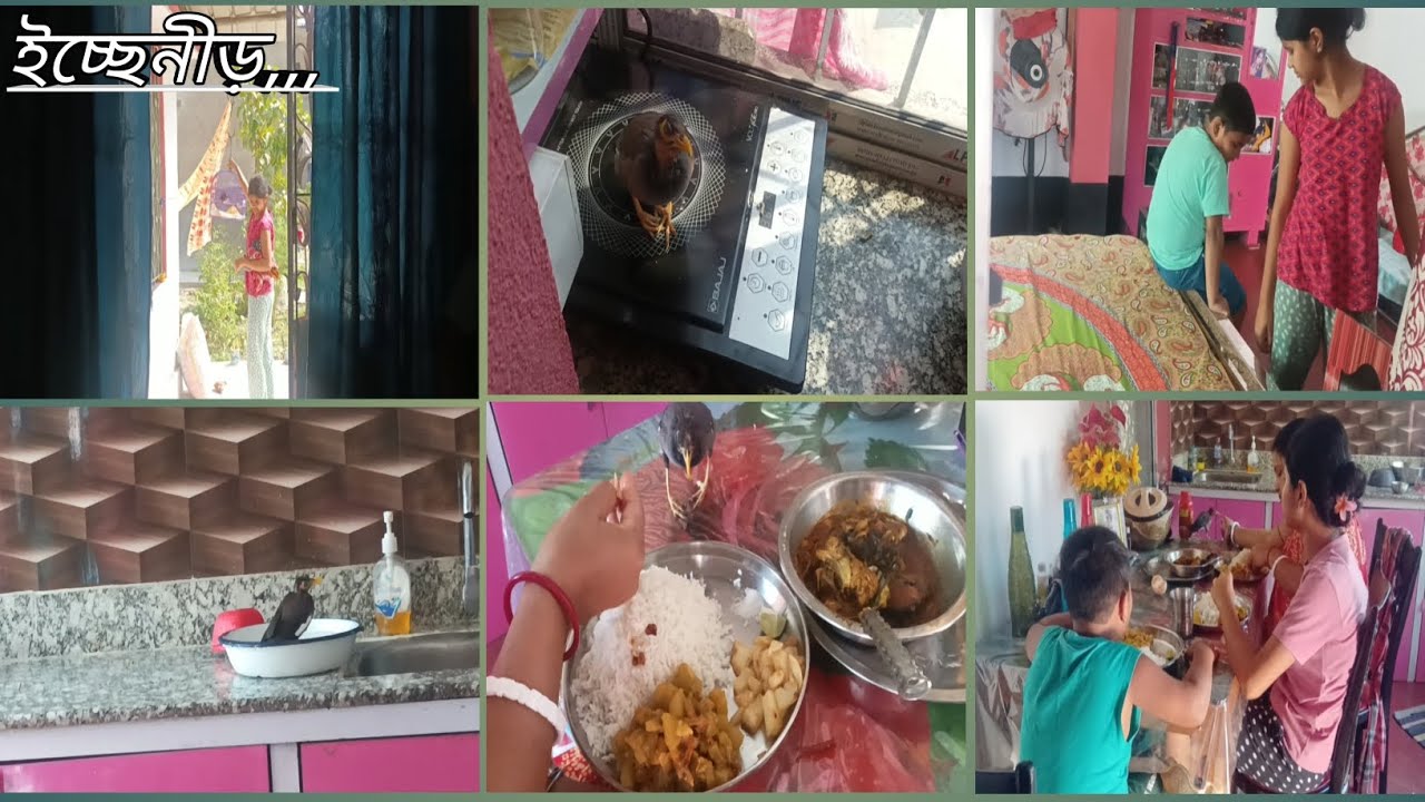 আজ মায়ের শরীর ভালো আছে দেখে মনে শস্তি পেলাম #newpost  #bengolividio 