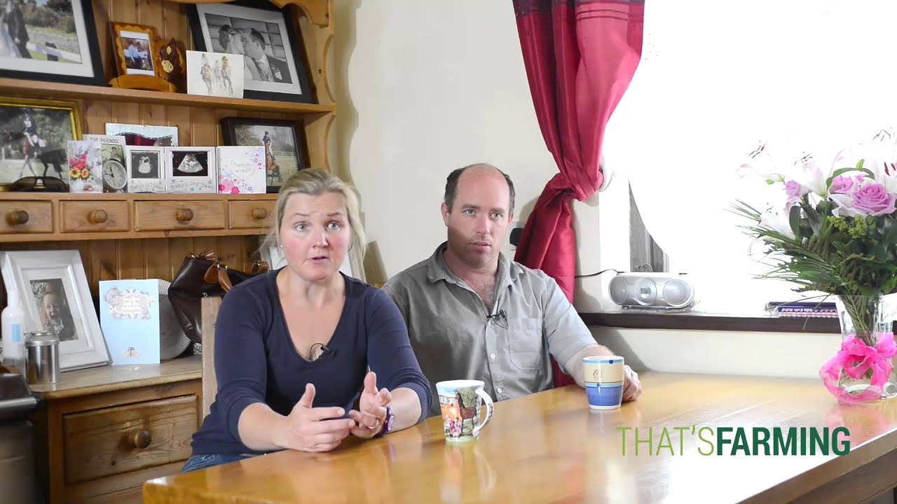 Cattle Rustling in Ireland. 100 Animals Stolen