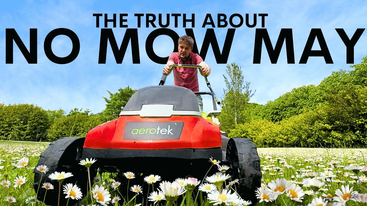 No Mow May — это чушь. Вот почему