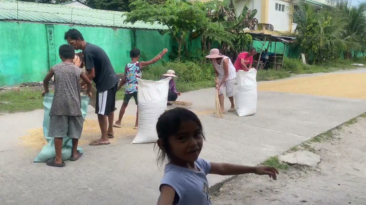 Nagbilad ng palay bigla makulimlim
