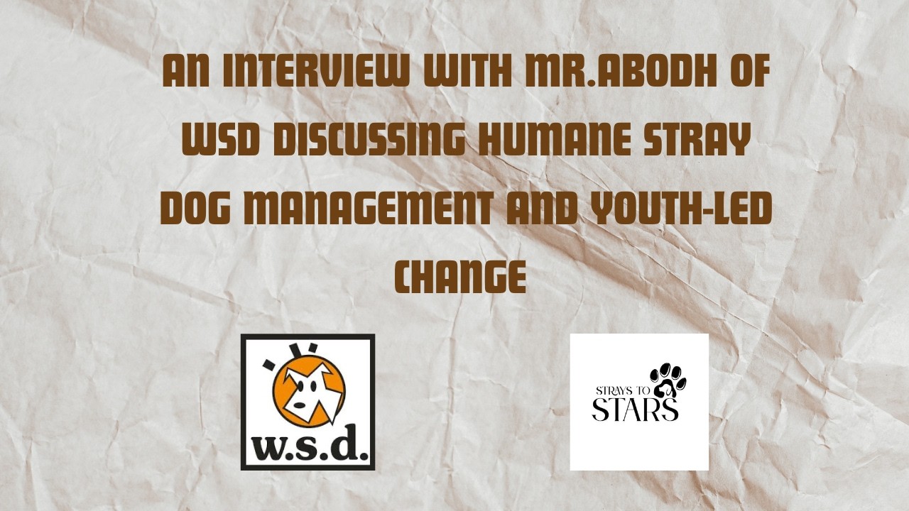 A Discussion with Mr. Abodh, CEO of Welfare of Stray Dogs on Humane Stray Dog Management and More