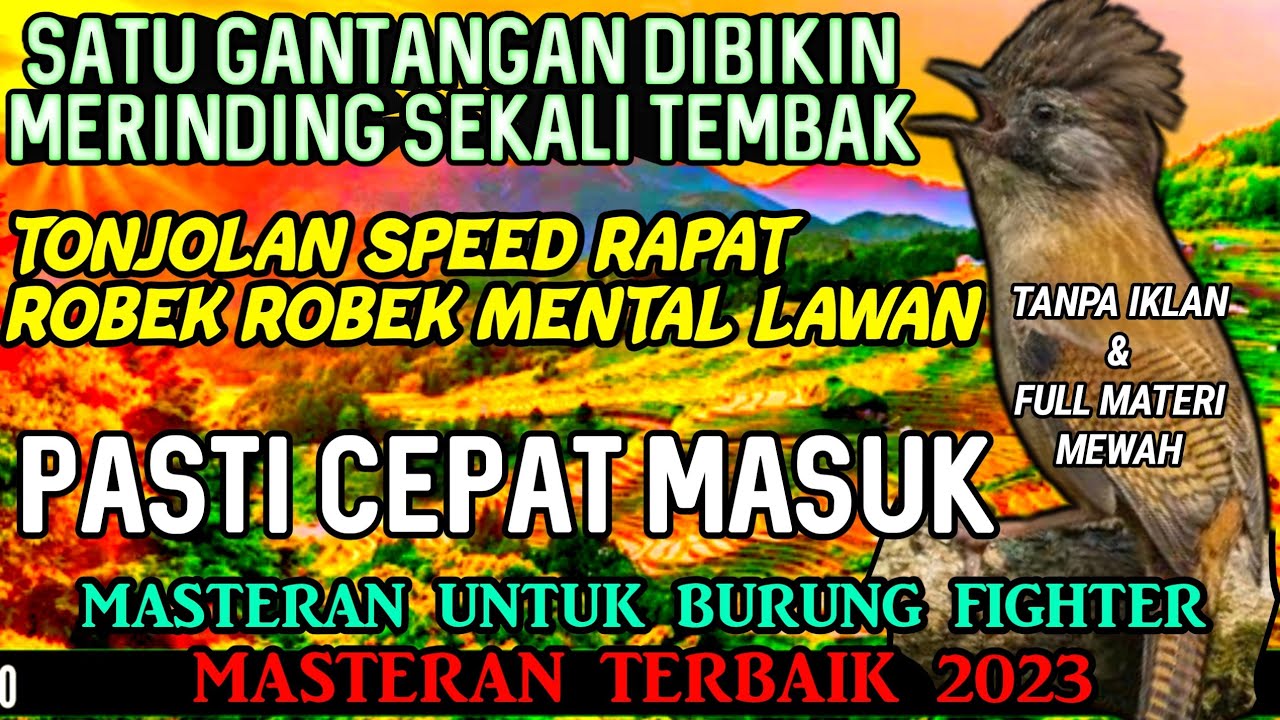 GANTANGAN DI BIKIN MERINDING SEKALI NAFASS | MASTERAN BURUNG KASAR ISIAN NGEROL TAJAM MATERI EDANN