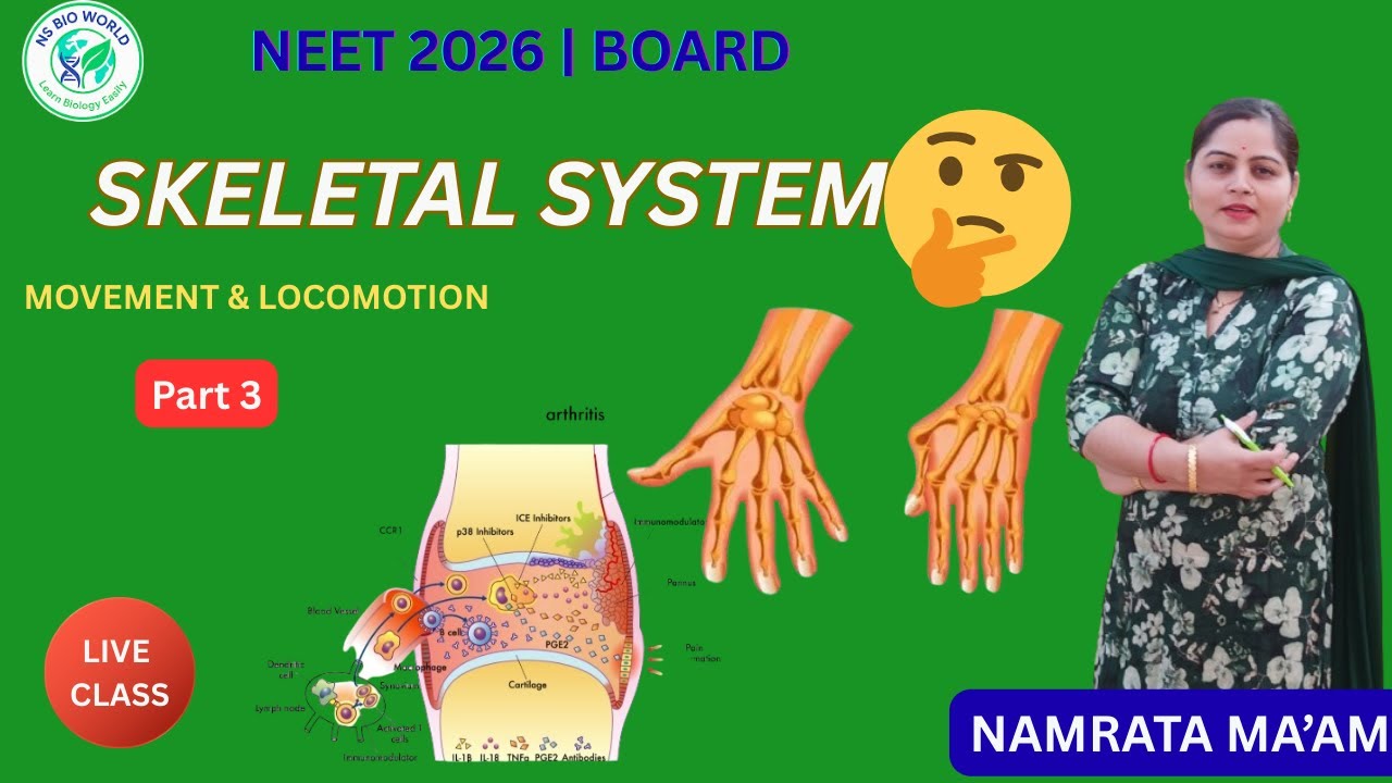 Skeletal System Part 3 | Appendicular Skeleton & Disorders | NCERT Biology by Namrata Maam