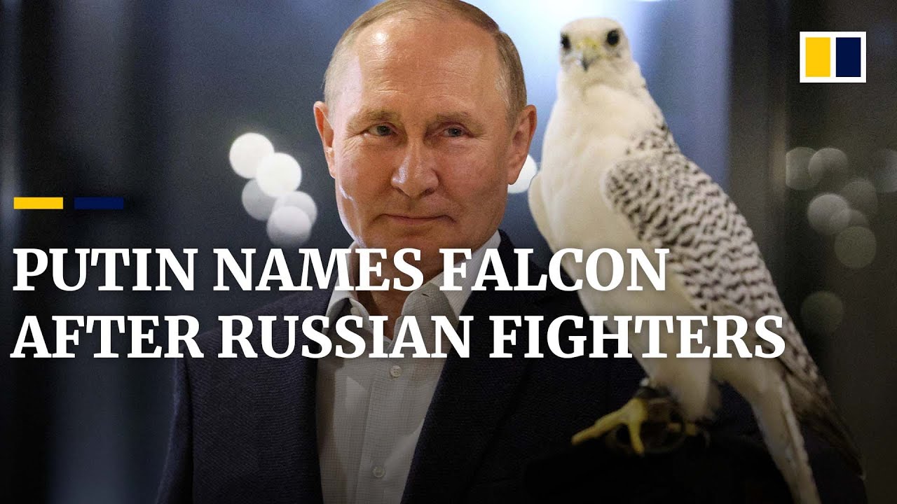 Putin names falcon after Russian crack team fighting in Ukraine during visit to bird breeding centre