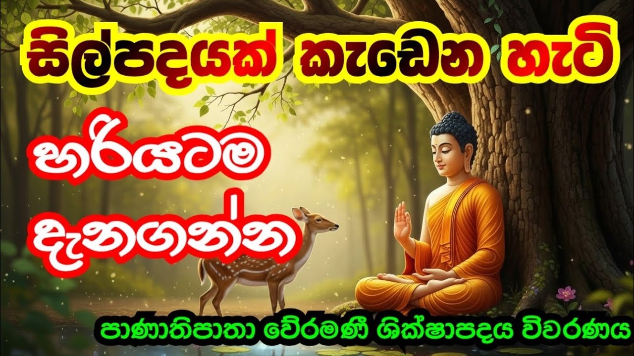 සිල්පදයක් කැඩෙන හැටි දැනගෙන හිටියාද? | කිරිවත්තුඩුවේ අරියදස්සන ස්වාමීන් වහන්සේ 