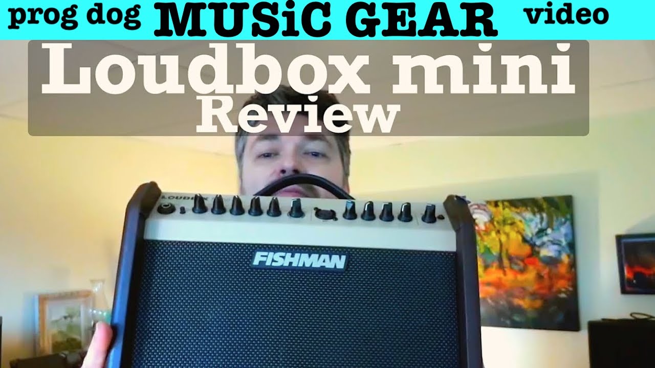 10 главных причин, почему Fishman Loudbox Mini так хорош
