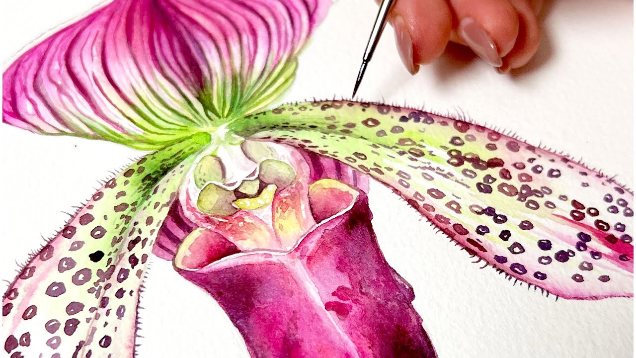 Watercolor Q&A 👩‍🎨 { july studio vlog }
