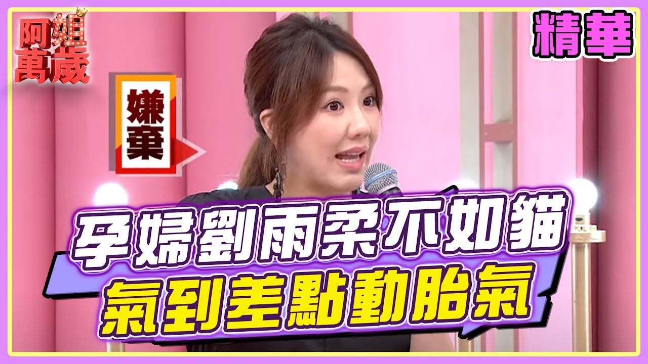 懷孕的劉雨柔竟不如一隻貓？中間一度氣到差點動胎氣！｜阿姐萬歲EP183精華