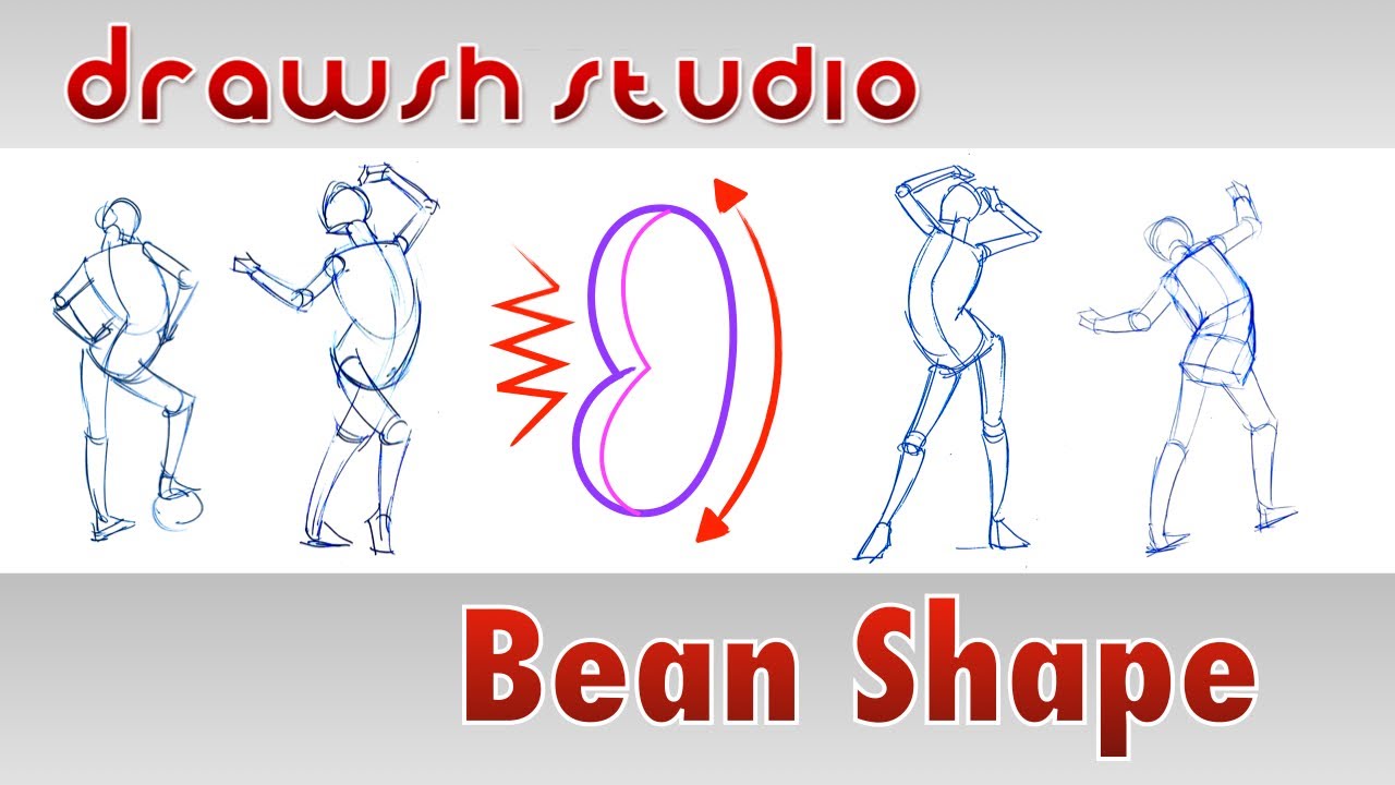 The Bean Shape in Figure Drawing