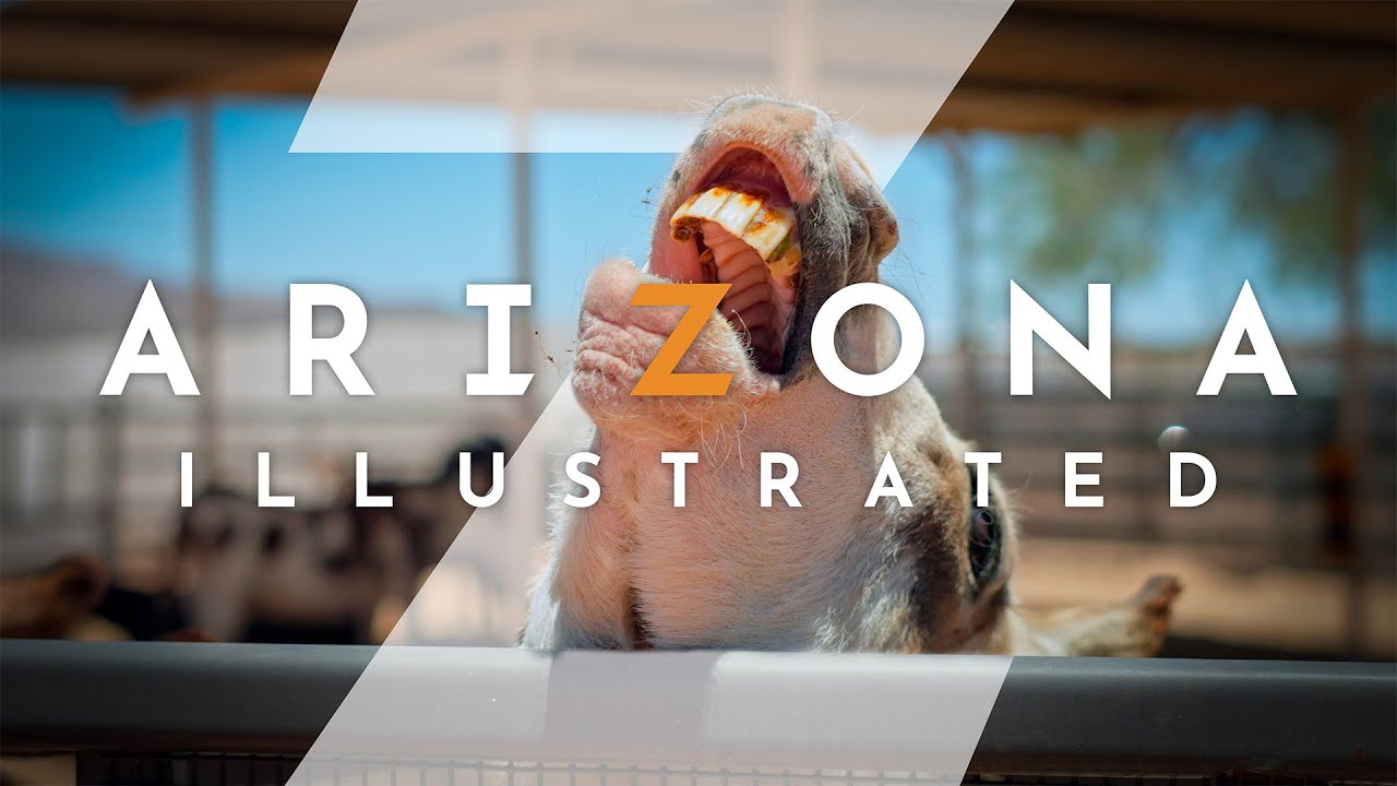 Arizona Illustrated 1208: Border Wall, Mobile Homes & Ostriches