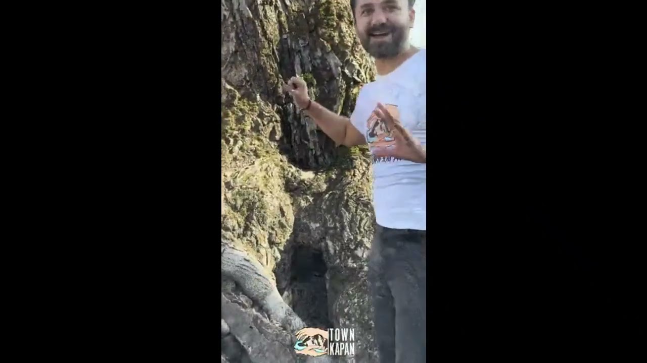 Qafan rayonu , Şabadin kəndi