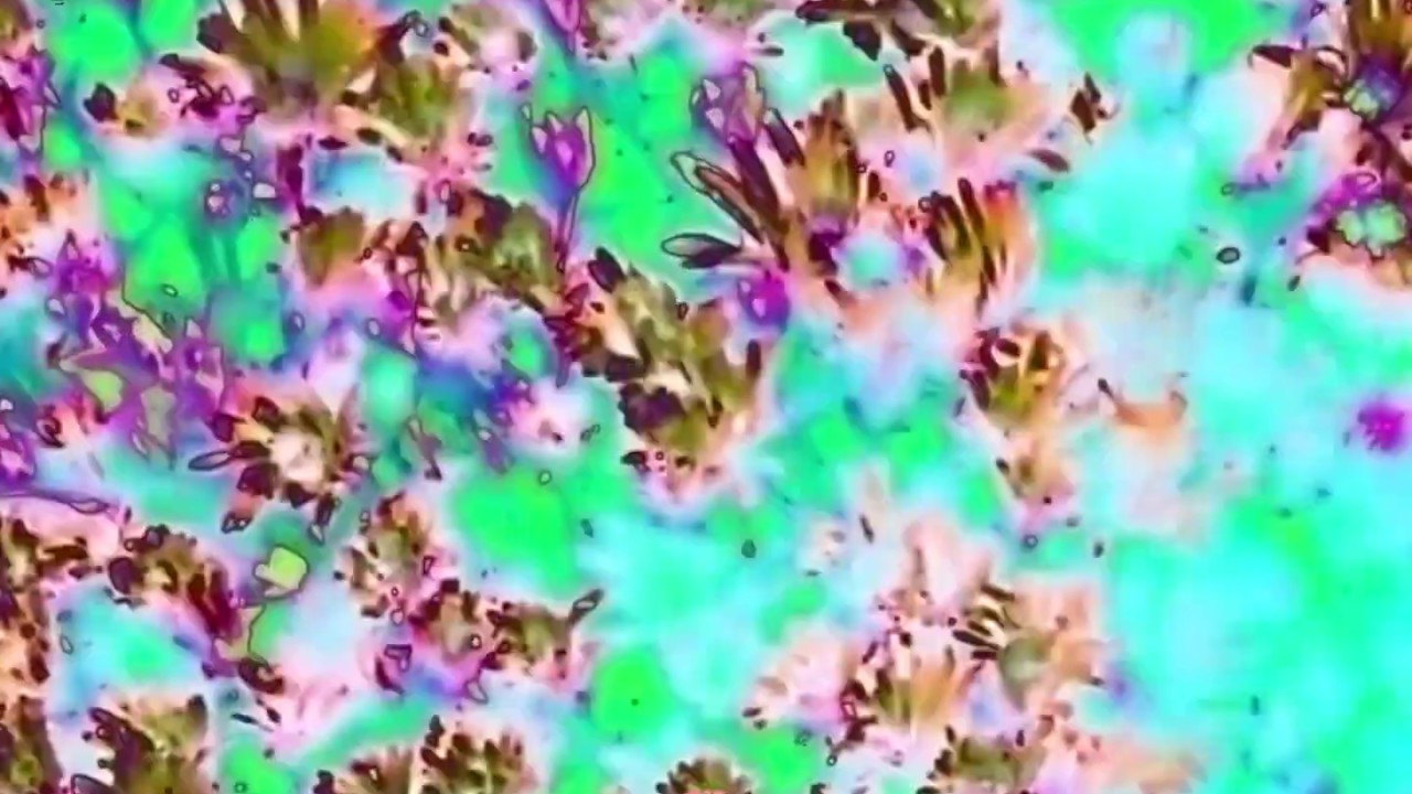 DWN2EARTH - ICE ON ME (VISUALIZER)