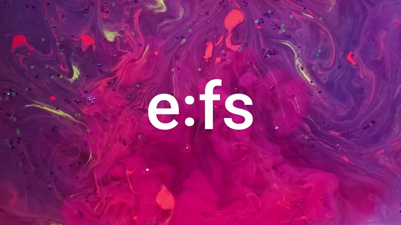 We are e:fs TechHub GmbH. On a Mission – to the future.Together. 🙌 💻 🫶