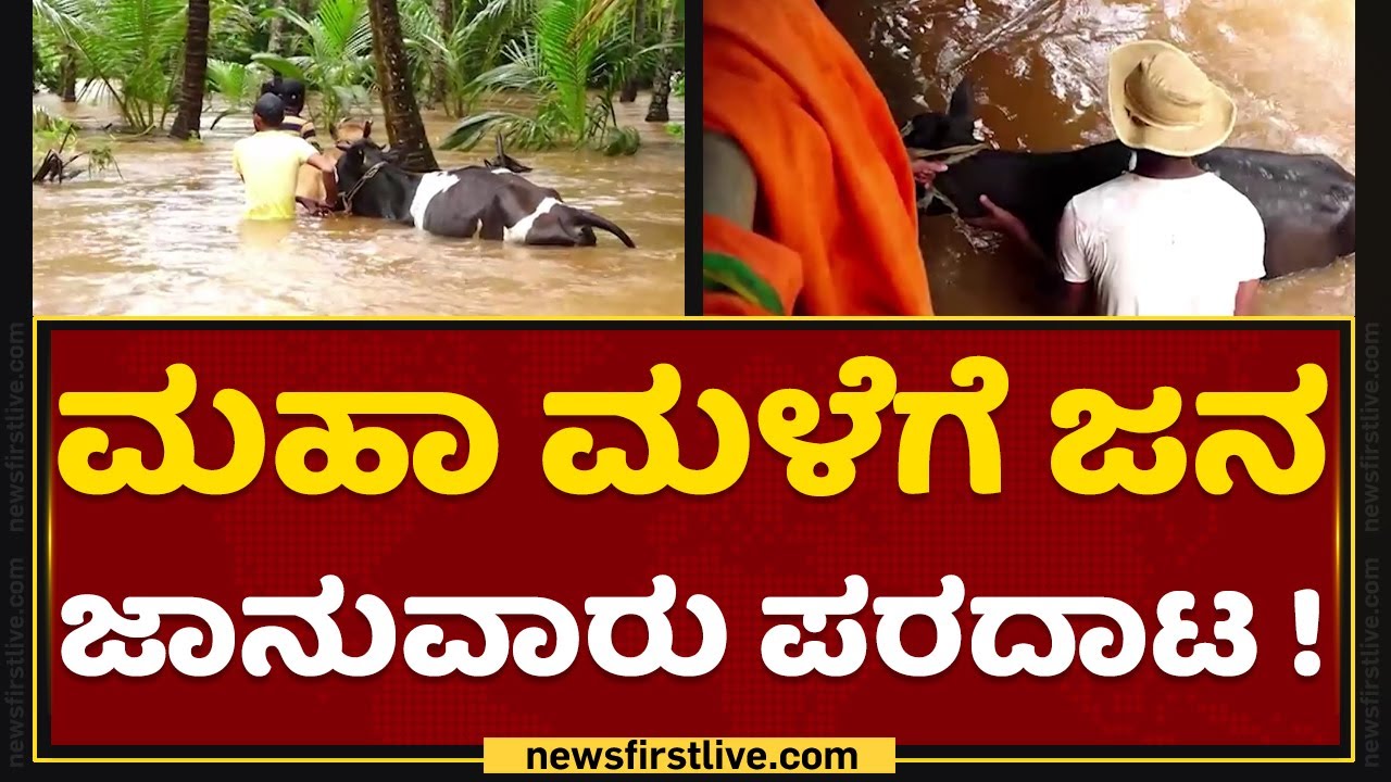 Udupi : ಮಹಾ ಮಳೆಗೆ ಜನ, ಜಾನುವಾರು ಪರದಾಟ ! | Heavy Rain Effect | NewsFirst Kannada