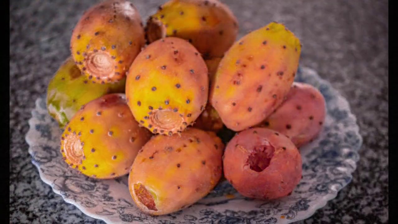 Figo da Índia, apanha, descasca, e receita para bolo