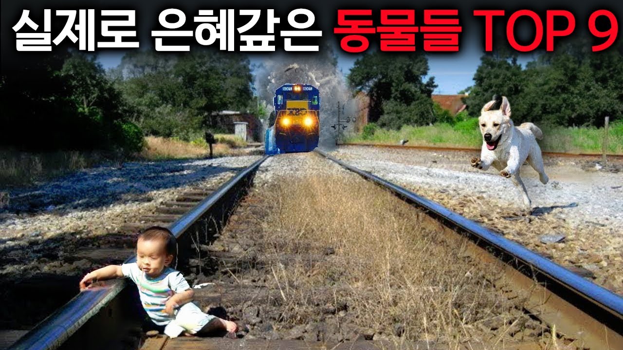 나를 사랑해줘서 고마워