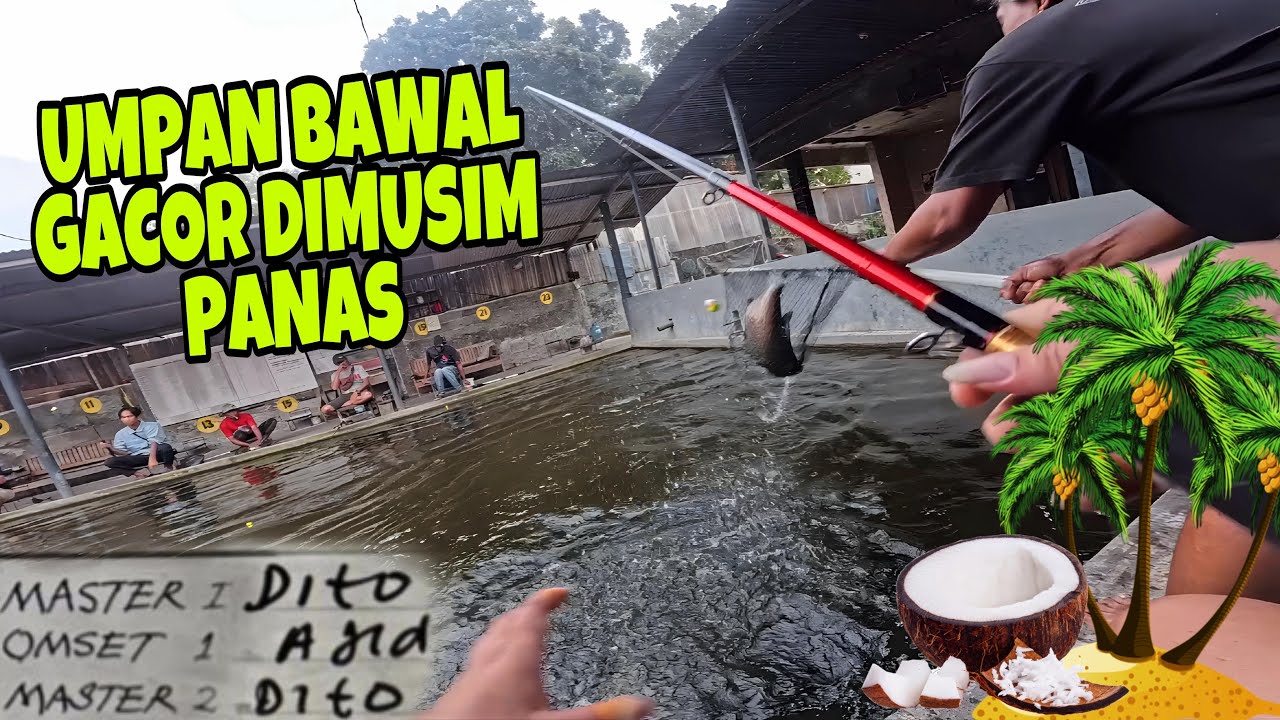 Strike Bawal Bertubi Tubi Dengan Umpan Kelapa || Umpan Bawal Musim Panas