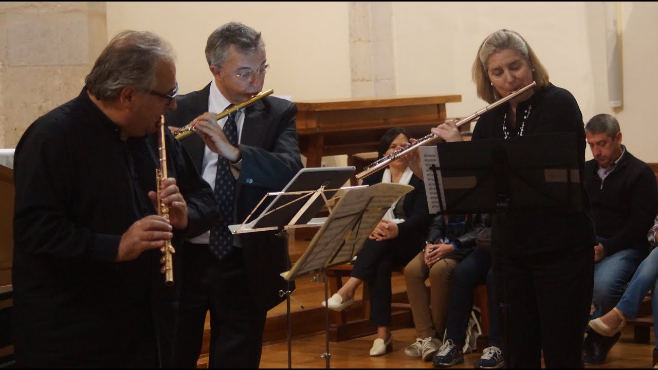 Telemann, G.Ph. Sonata a Quattro, Tafelmusik, en re menor (3 fl + Bc)