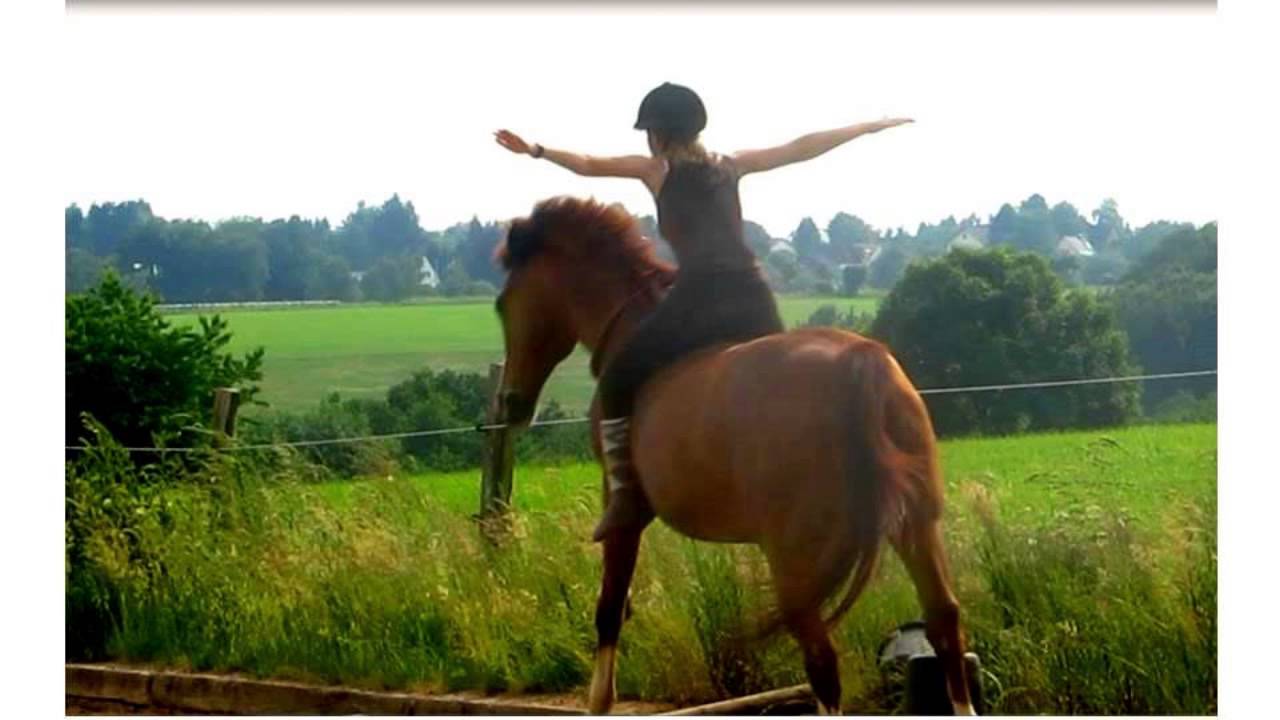 when you can fly- tackless riding- jumping