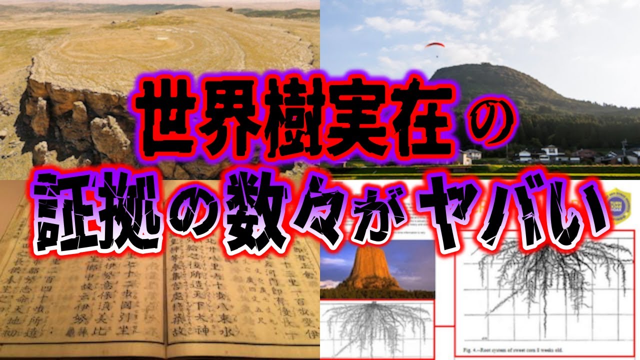 【ゆっくり解説】世界樹は実在した！驚くべき証拠と隠蔽された恐るべき理由について【ユグドラシル】