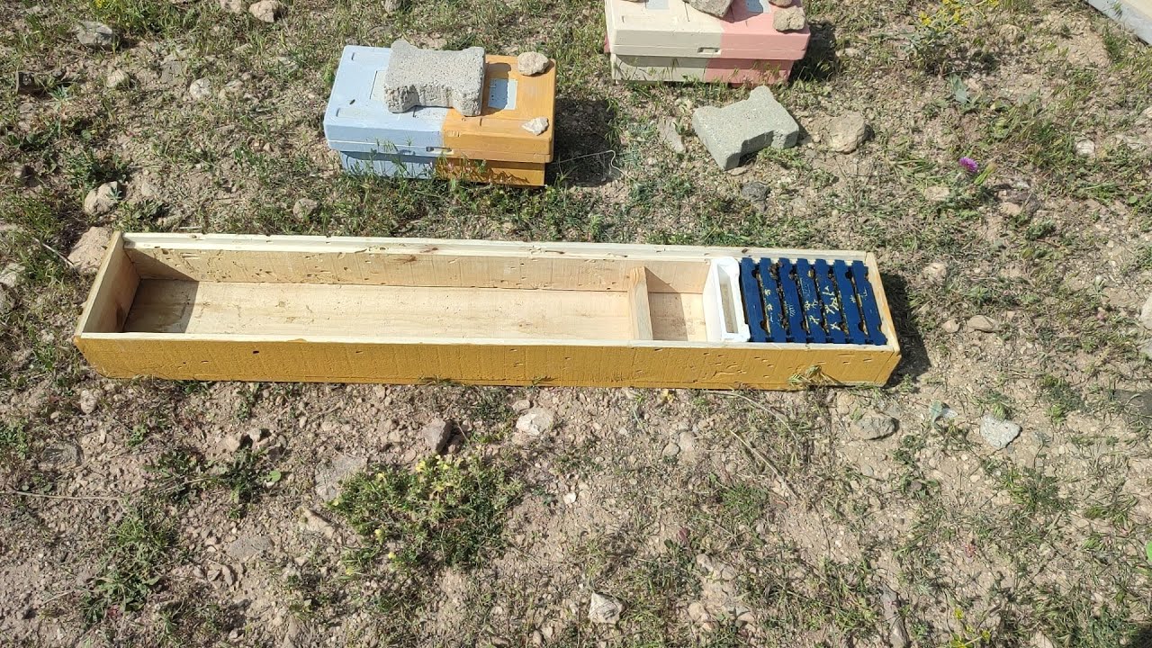 TABUT ANA KUTUSU KOVANİNA ARİ DOLDURUYORUZ Doğan arıcılık ana kutusu tabut kovani