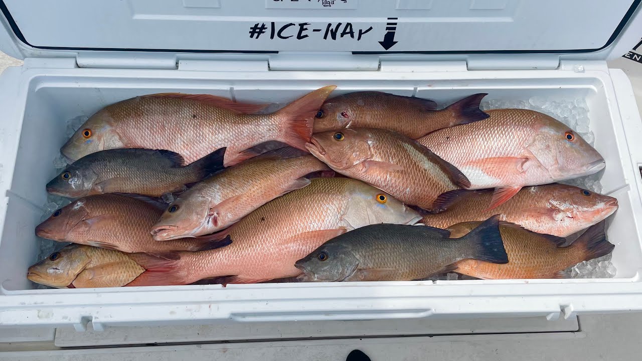 Super Secret Snapper Spot | Grocery Shopping Island Style | Raw Uncut Dives | CCC