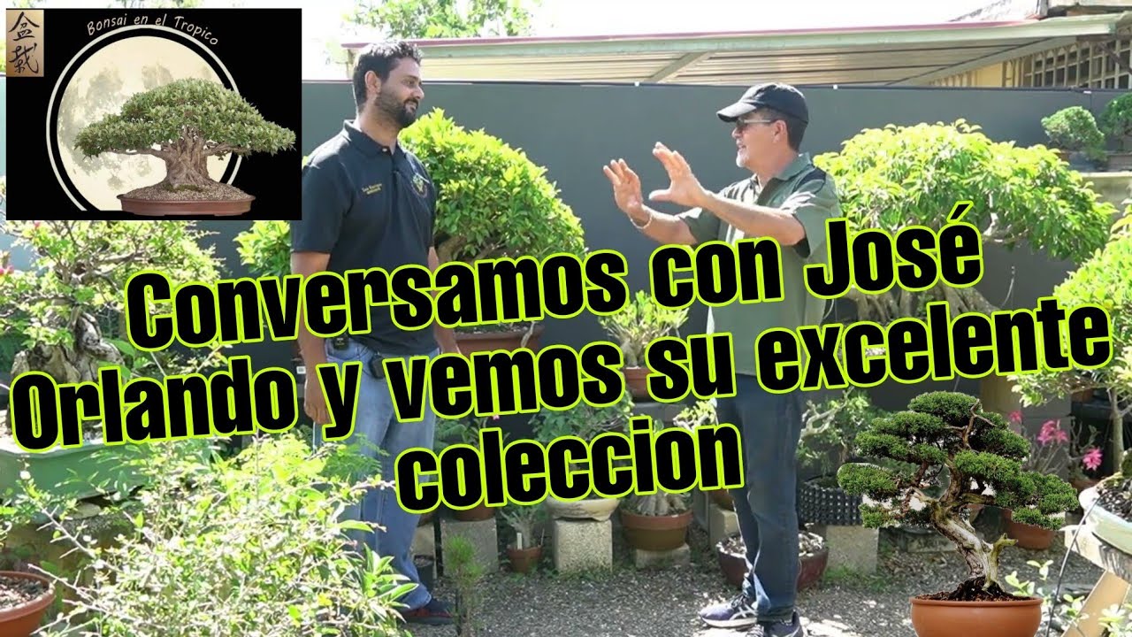 Nos damos un Paseo por el Patio de Jose Orlando Rivera y conversamos un rato