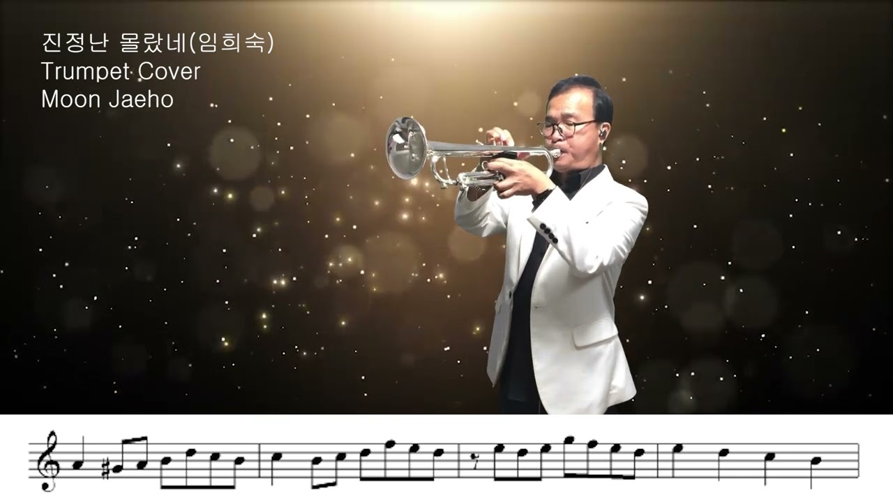 진정난 몰랐네(임희숙)Trumpet Cover Moon Jaeho