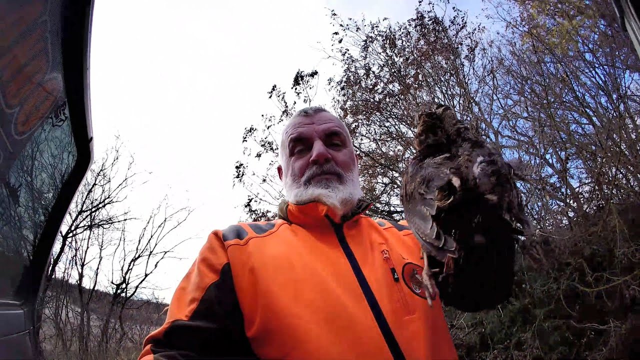 woodcock hunting Greece 28/12/2024μπεκατσες by teo orestiada