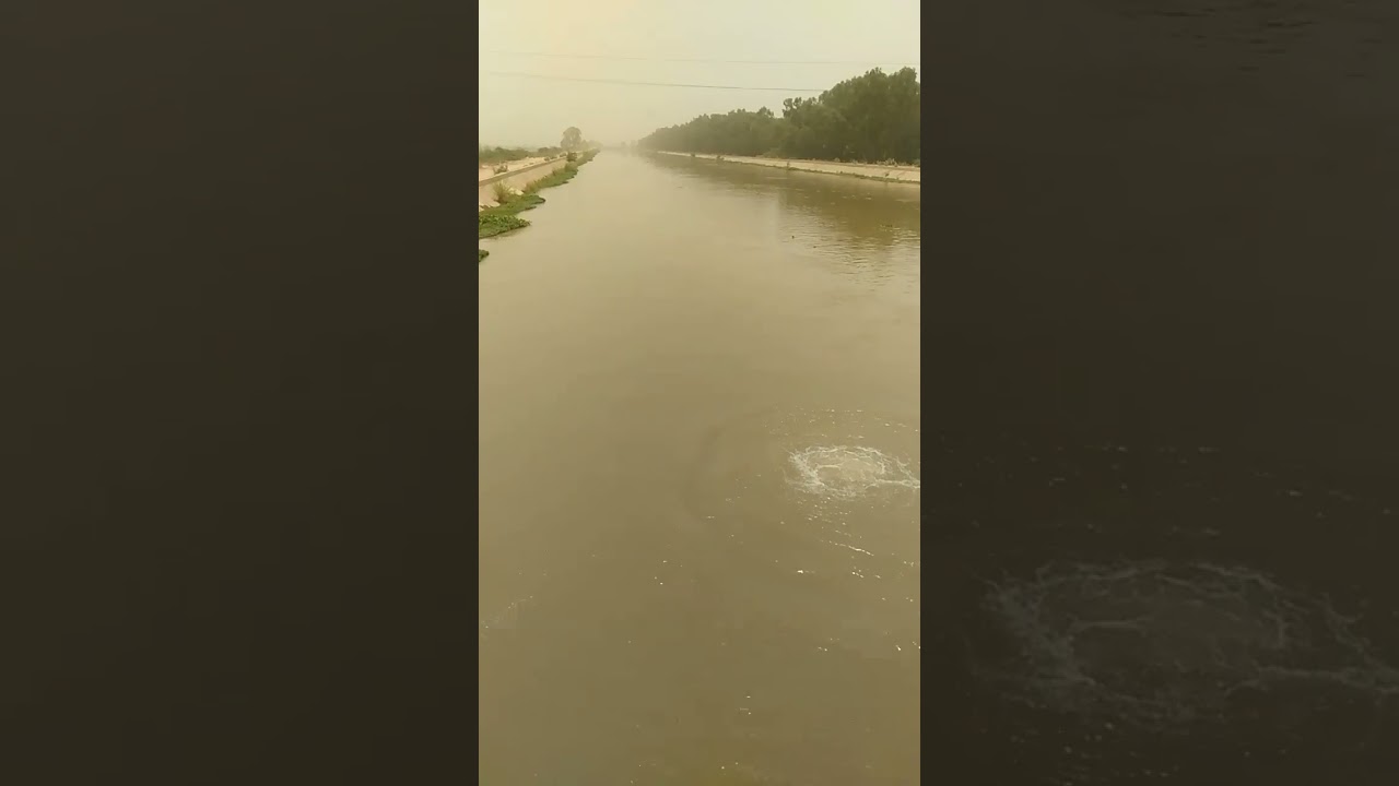 इंदिरा गांधी नहर लखुवाली हेड,हनुमानगढ़।