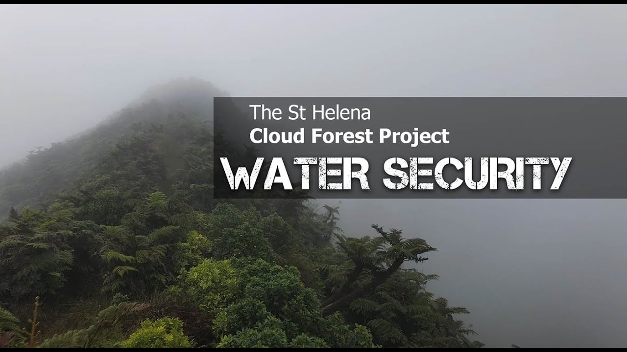 Water Security - Cloud Forest Project 2022