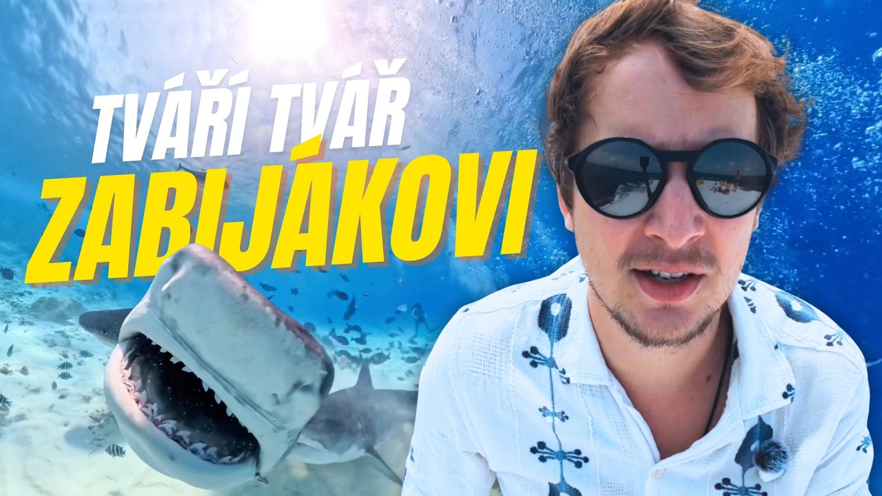 Tváří v tvář žralokum tygřím na Maledivách / Not for beginners!