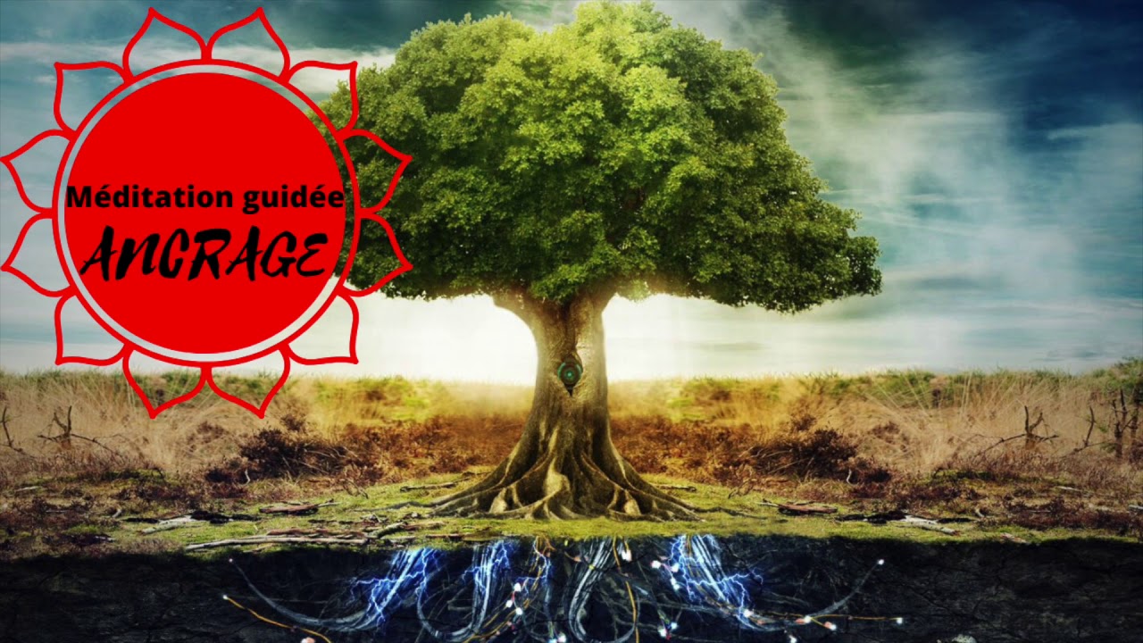 ANCRAGE / MÉDITATION GUIDÉE / CHAKRA RACINE